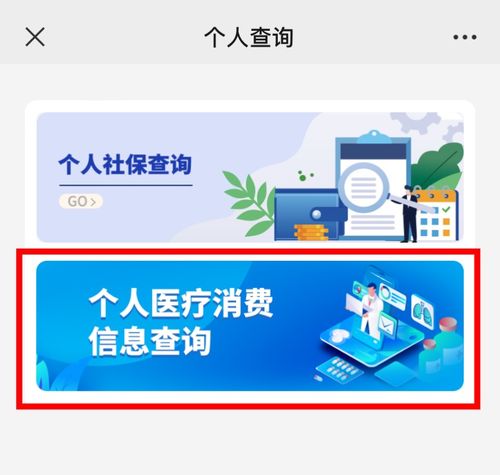 如何高效查詢(xún)個(gè)人醫(yī)療消費(fèi)信息 信息咨詢(xún)服務(wù)的全面指南